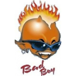 RCP Auto Stikkervel Bad Boy Head RCP02008