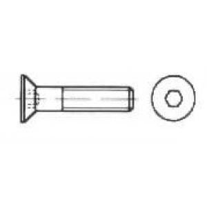 DHKD RVS Hex Schroef M3x12mm ( 10 ) 3168030012